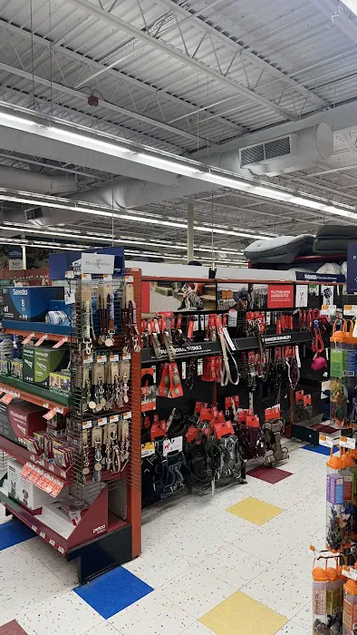 Petco Picture 6
