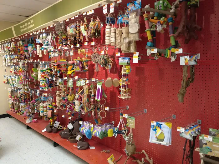 Petco Picture 5