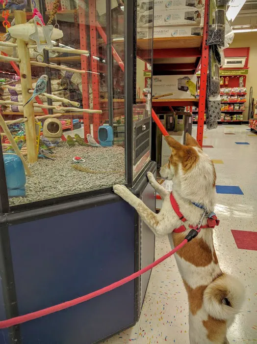 Petco Picture 7