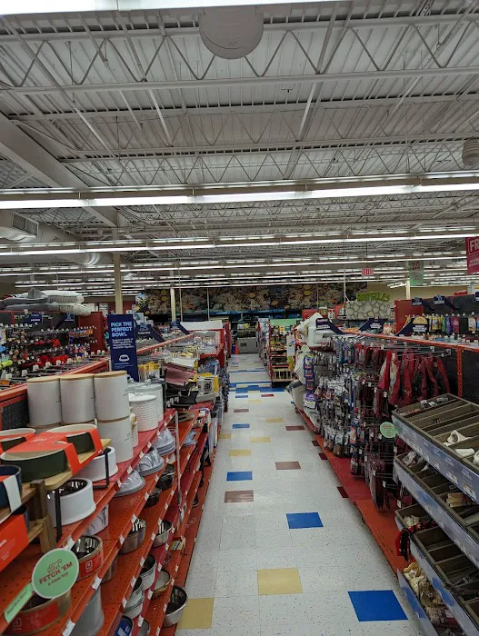 Petco Picture 8