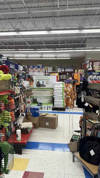 Petco Picture 9