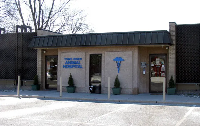 Toms River Animal Hospital Picture 1