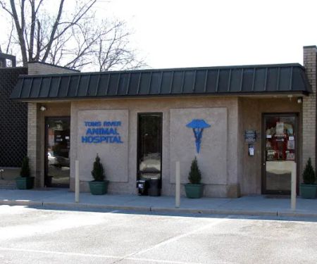 Toms River Animal Hospital