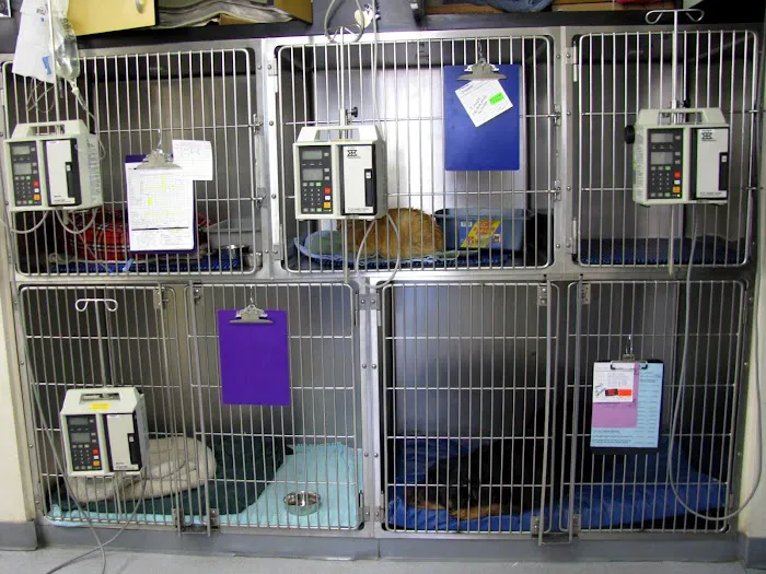 Toms River Animal Hospital Picture 10