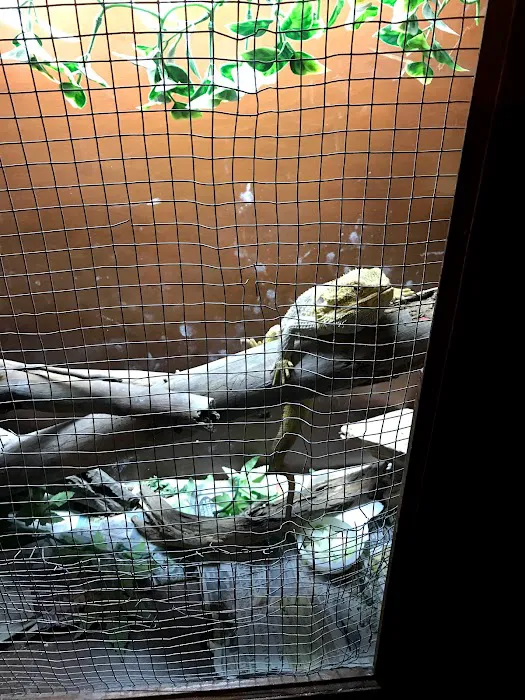 JHA Reptiles Picture 1