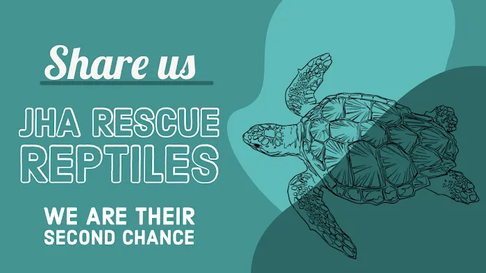 JHA Reptiles Picture 4