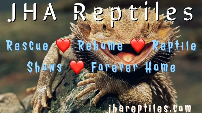 JHA Reptiles Picture 5
