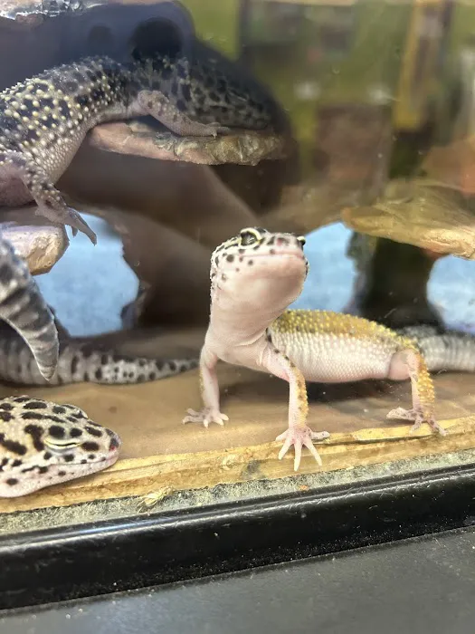 Petco Picture 2