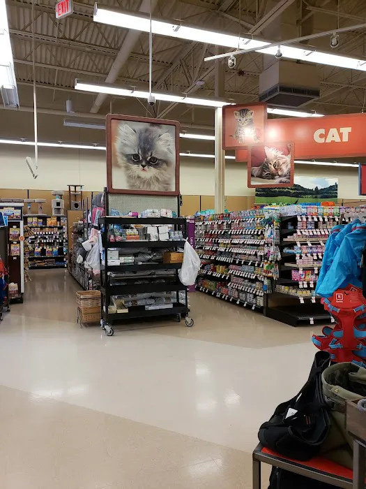 Petco Picture 8