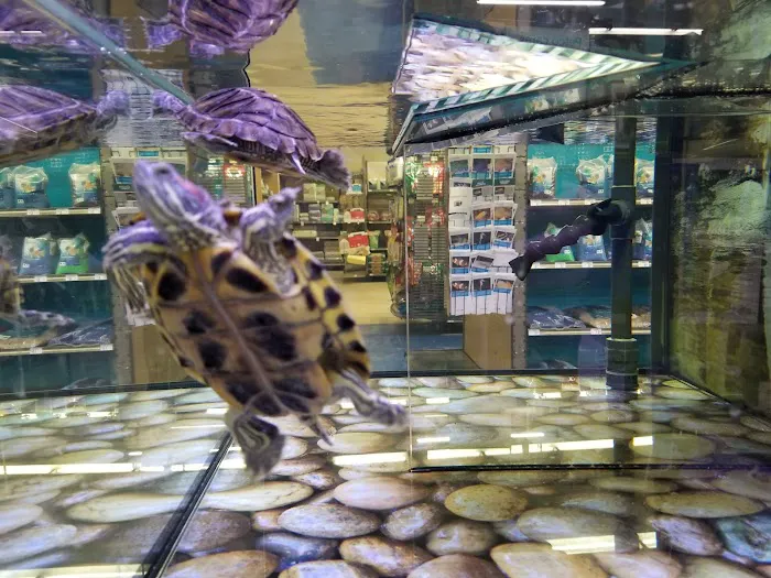 Petco Picture 9