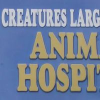 Creatures Large & Small Animal Hospital ico