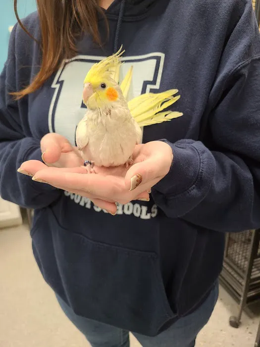 Bird Supply of New Hampshire & the Pet Stop Picture 4