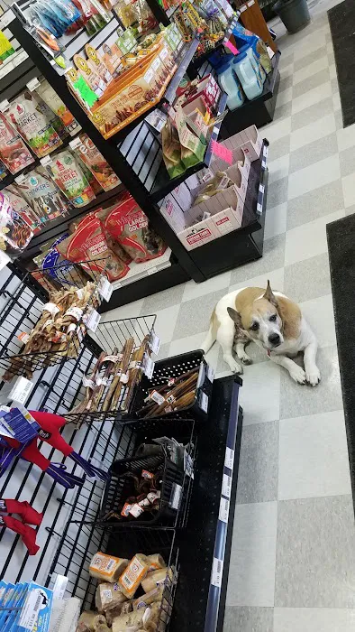 Bird Supply of New Hampshire & the Pet Stop Picture 7