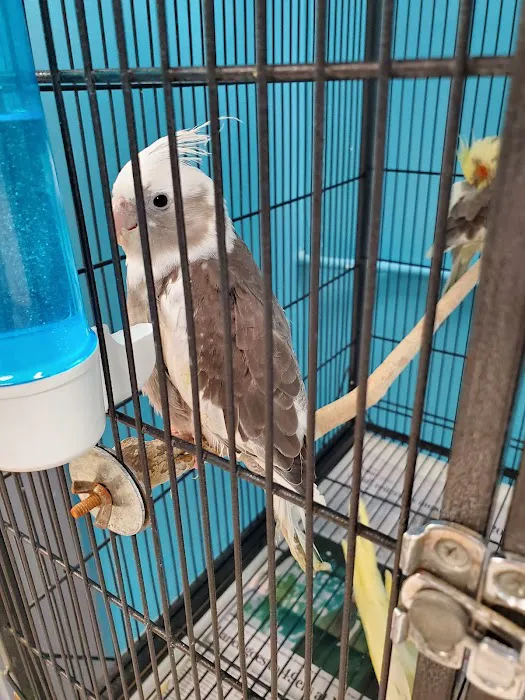 Bird Supply of New Hampshire & the Pet Stop Picture 10