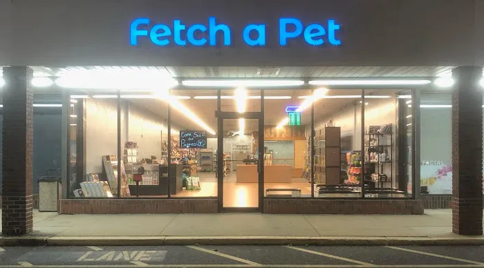 Fetch a Pet Picture 3