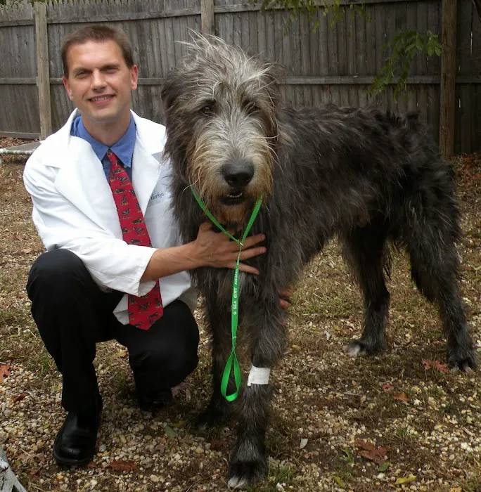 Sea Girt Animal Hospital Picture 5