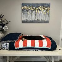 Pets We Loved Memorials ico