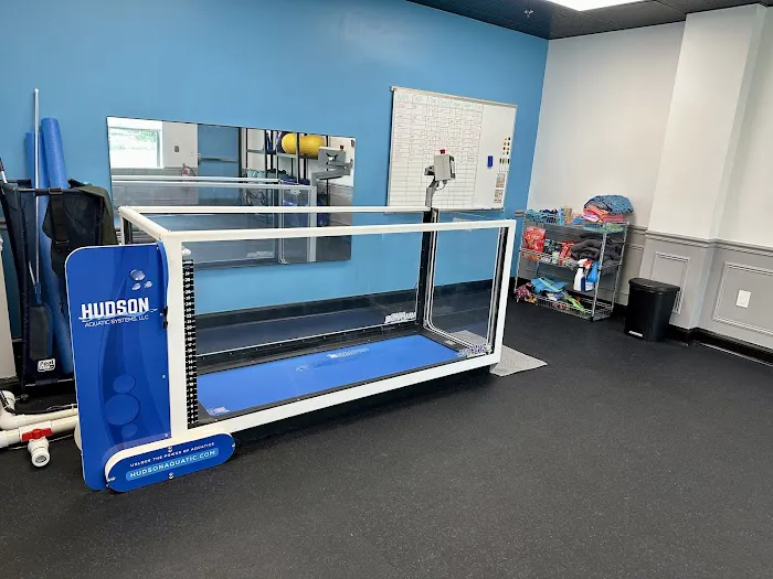 The Doggy Gym Picture 6