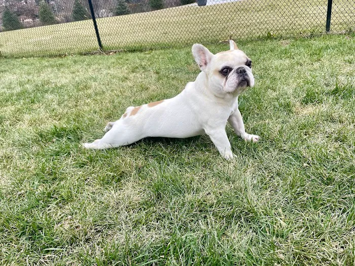 Brielle Animal Clinic Picture 7