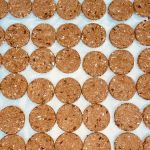 Barkin Biscuit
