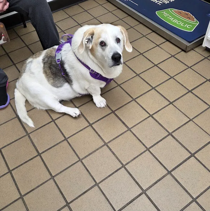 Belmar Wall Animal Hospital Picture 3