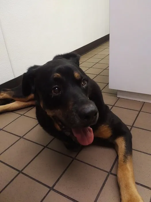 Belmar Wall Animal Hospital Picture 5