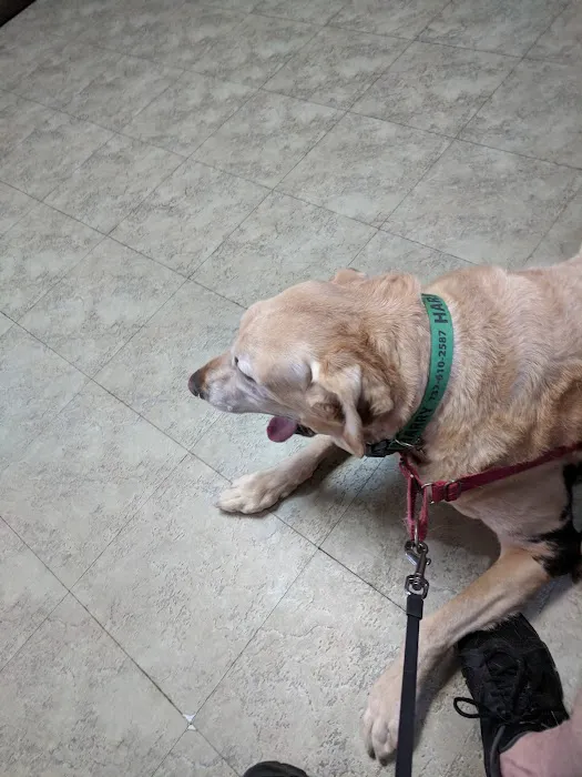 Belmar Wall Animal Hospital Picture 9