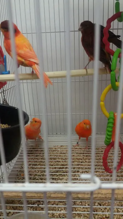 North East Discount Pet Center Picture 3