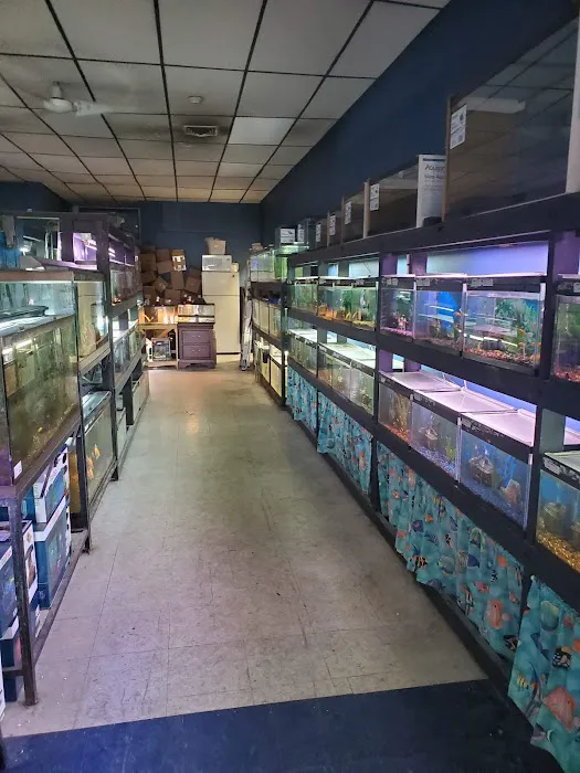North East Discount Pet Center Picture 2