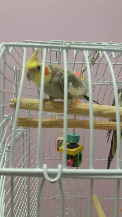 North East Discount Pet Center Picture 4