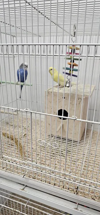 North East Discount Pet Center Picture 7