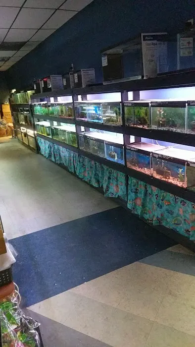 North East Discount Pet Center Picture 6