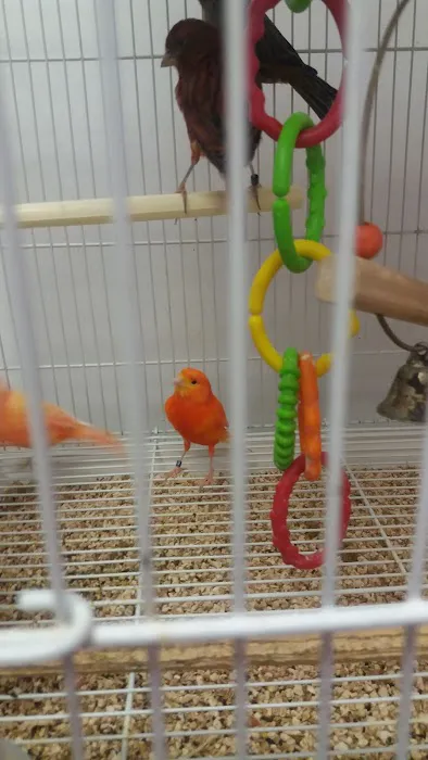 North East Discount Pet Center Picture 8