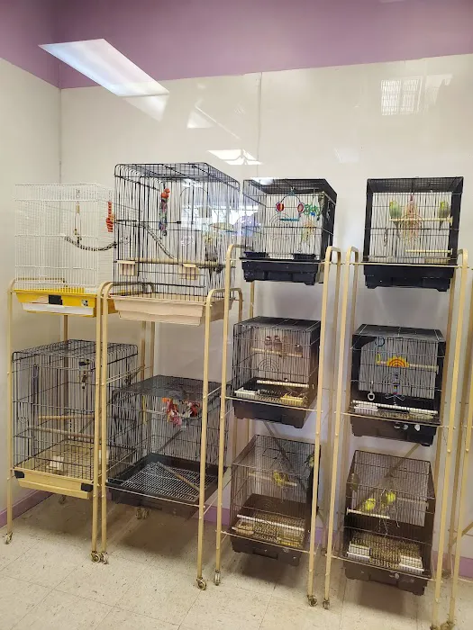 North East Discount Pet Center Picture 10