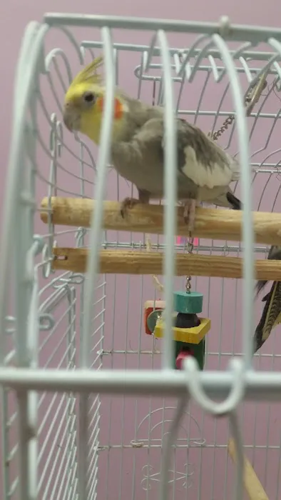 North East Discount Pet Center Picture 9