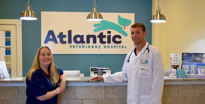 Atlantic Veterinary Hospital Picture 1