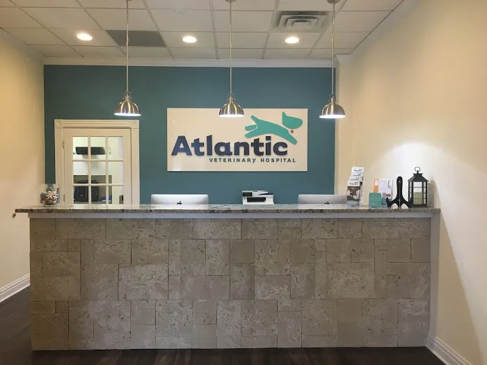 Atlantic Veterinary Hospital Picture 7