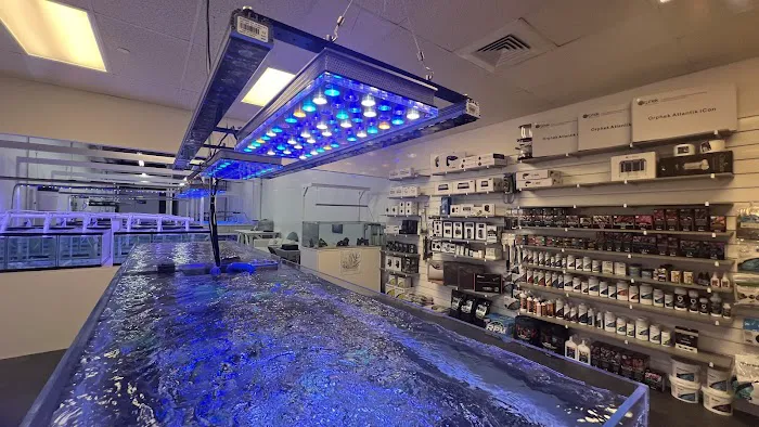 Reef Exclusive Picture 3