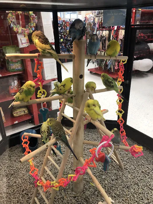 Petco Picture 4