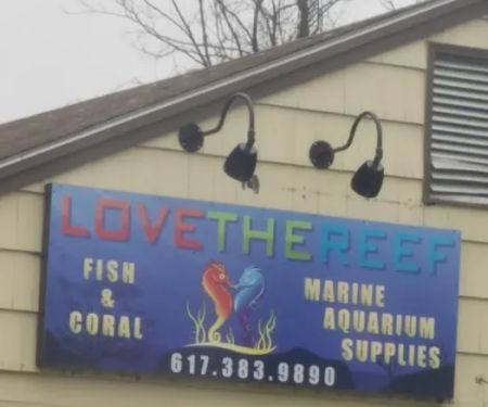 Love The Reef