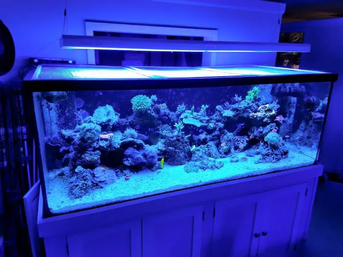 Love The Reef Picture 4