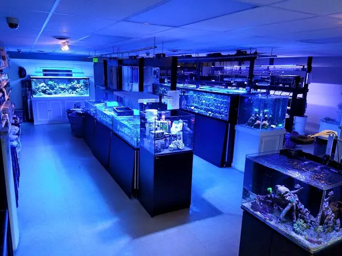 Love The Reef Picture 6
