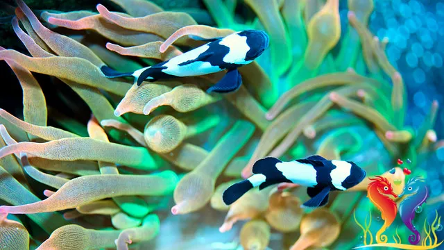 Love The Reef Picture 3