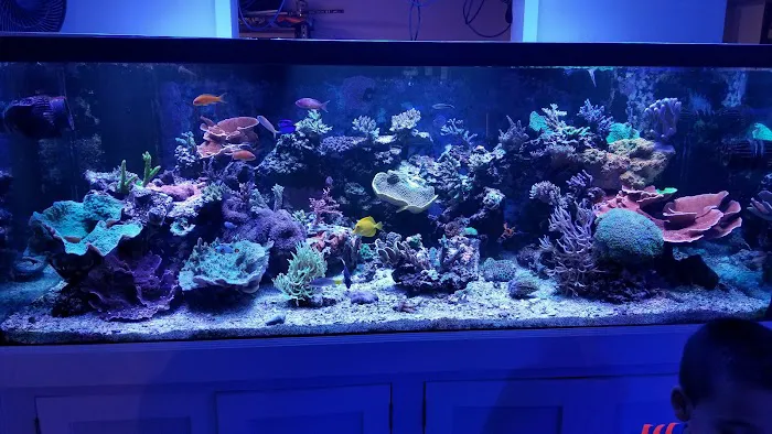 Love The Reef Picture 7