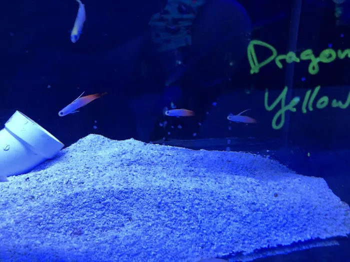 Love The Reef Picture 10