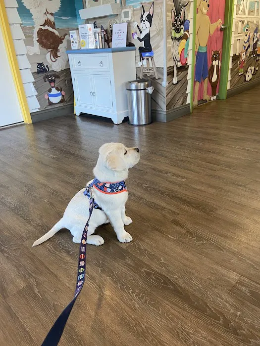 Point Pleasant Veterinary Hospital Picture 2