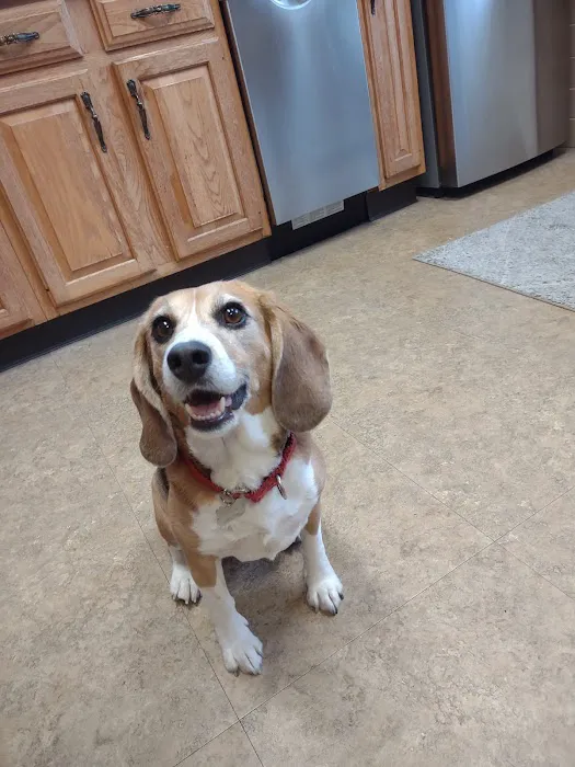Point Pleasant Veterinary Hospital Picture 8