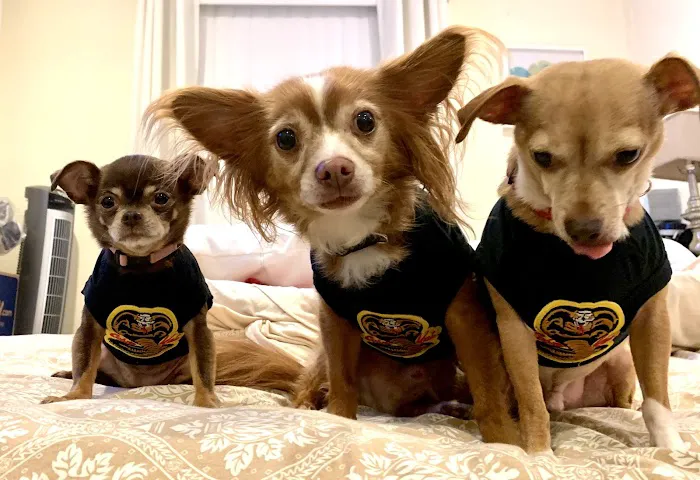Point Pleasant Veterinary Hospital Picture 9