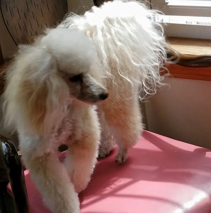 Unleashed by Petco Picture 8