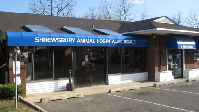 Shrewsbury Animal Hospital Picture 1